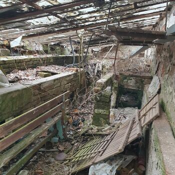 skleníkové budova struktura