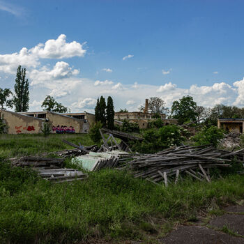 Landwirtschaftliche Fläche