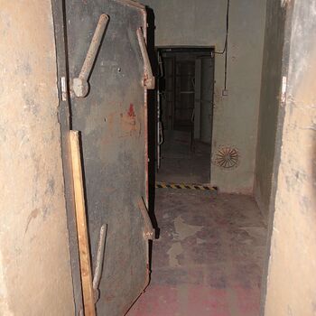 Versicherungsschutz unter dem Sitz der Autofirma Versicherungsschutz unter dem Sitz der Autofirma