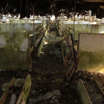 JZD, co se dle sídla jmenovat nesmělo