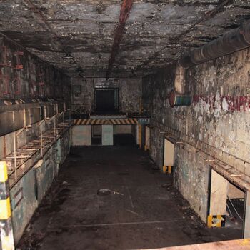 Maple 52 with swimming pool