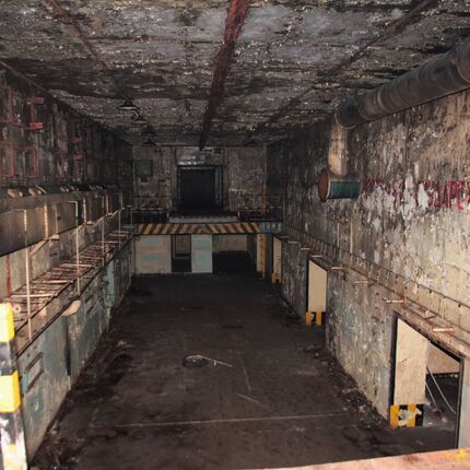 Maple 52 with swimming pool