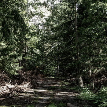 Pomalu mizející železárny Pomalu mizející železárny