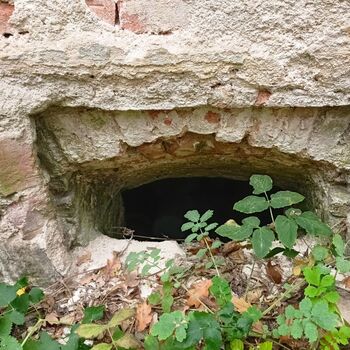 Vechtrovny - Koukni na video..