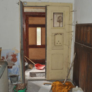 A grove in the Sudetenland.