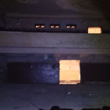 KINO (od ,,Roberta,,)