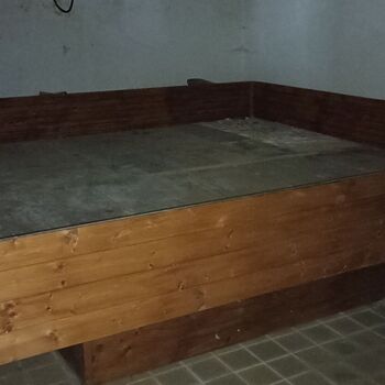 Disco Club 2023 Disco Club 2023