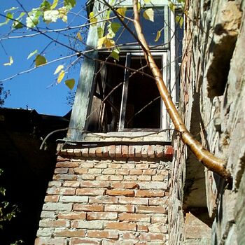 birdhouse shelter birdhouse shelter