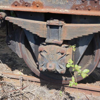 nákladní auto auto vozidlo kolová vozidla