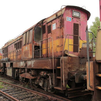 Cargo-Friedhof, nicht nur ein Bardot Cargo-Friedhof, nicht nur ein Bardot