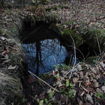 die eingestürzte Kapelle