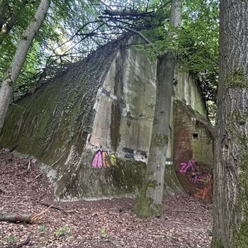 🔍 Funkübertragungszentrum 🔍 Funkübertragungszentrum