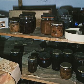 Doch eines Tages trennte sie der Tod ☠️🖤🕰️