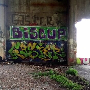 sgrafity dekorace sgrafity dekorace