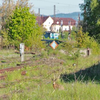 Železniční hřbitov 2019