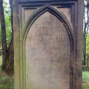 Old Jewish cemetery Old Jewish cemetery