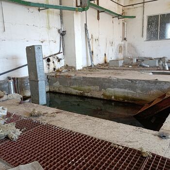 Český černobyl 2022