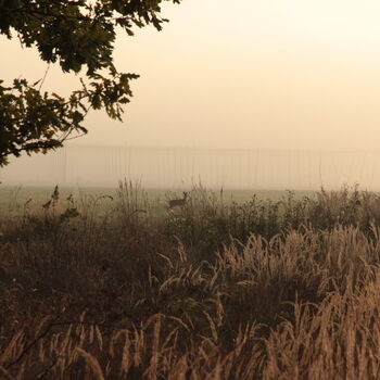 Sušárna chmele Všestudy za úsvitu 2023