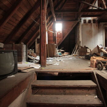 Rieger's Villa Rieger's Villa