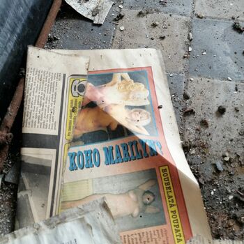 newspaper money currency product cash bank dollar finance wealth hundred dollars banking newspaper money currency product cash bank dollar finance wealth hundred dollars banking