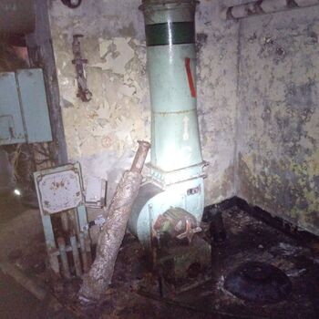 Javor52 Javor52