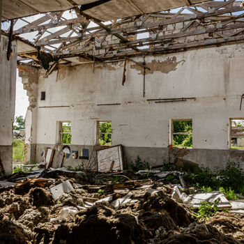 Landwirtschaftliche Fläche