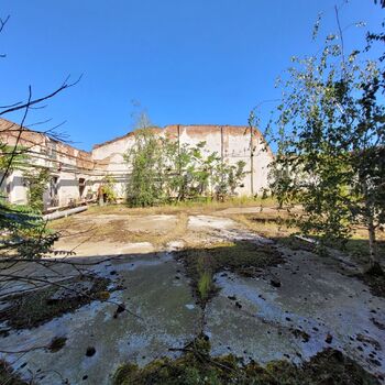 Der Plan war eine Brauerei, aber es wurde eine Brennerei.