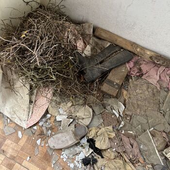 Abandoned Farmer's house