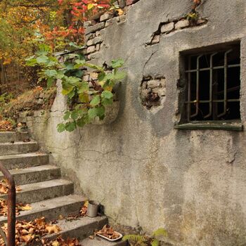 Rieger's Villa Rieger's Villa