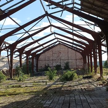 Agricultural area 2023