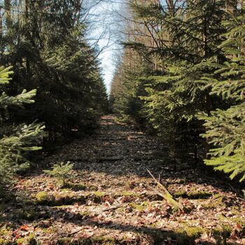 Trať nad kterou zlomil stát hůl Trať nad kterou zlomil stát hůl