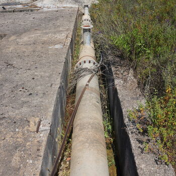 Gartenarbeit Sardinien 2021