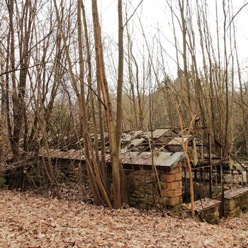 Gartenarbeit ab 1940