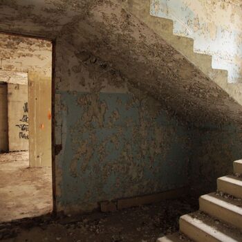 Kyjeváky in der Siedlung Ploužnice 2023