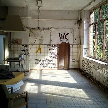 room interior house furniture home