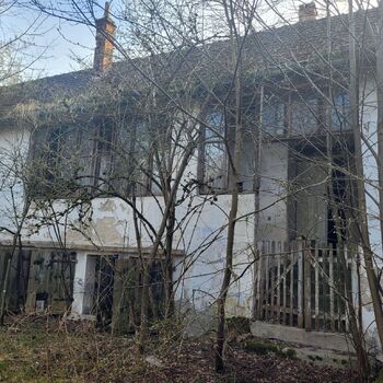 🐕‍🦺POZOR BAD DOG