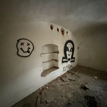 Aunt Omega, or I Believe in Fairies