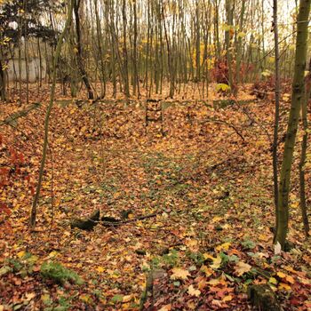 Vila v novogotickém stylu od Ignaze A. Gaubeho 2019