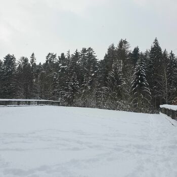 sníh sjezdovka zima svah počasí studené Les krajina Geologický útvar stromy mráz LED sezona zmrazený strom