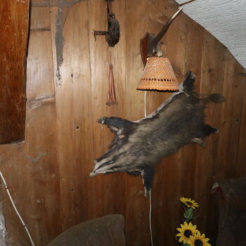 A grove in the borderlands.