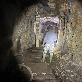 hory, DOLY, černý pes