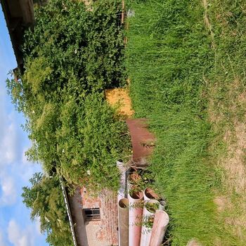 Where the wind goes to sleep 3