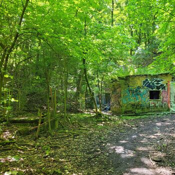 🧨Dynamitka Alfred Nobel & Company