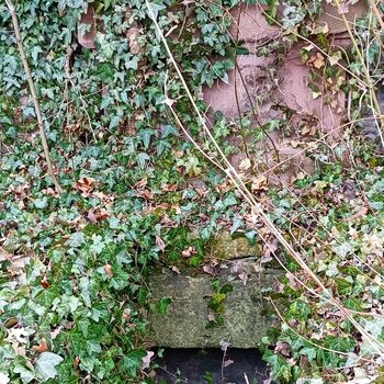 Friedhof 2022 Friedhof 2022