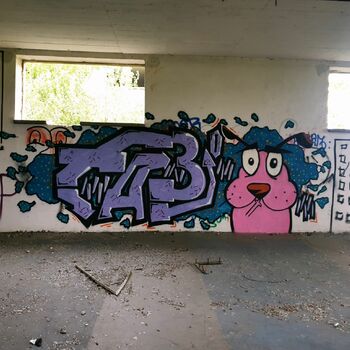 sgrafity dekorace