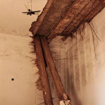 Castle, monastery, brewery and farm in one person 2021