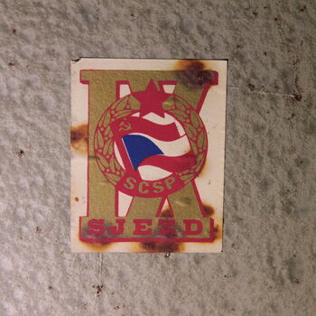 Versicherungsschutz unter dem Sitz der Autofirma Versicherungsschutz unter dem Sitz der Autofirma