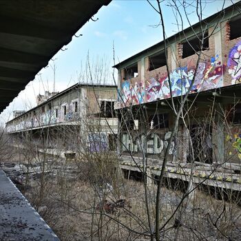 auto kolová vozidla osobní automobil