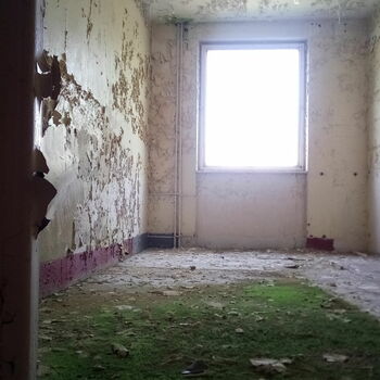 door old wall architecture building