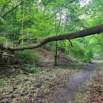 🧨Dynamitka Alfred Nobel & Company